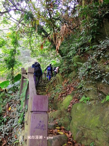 【台南東山】山上尋悠。 No64小百岳~崁頭山