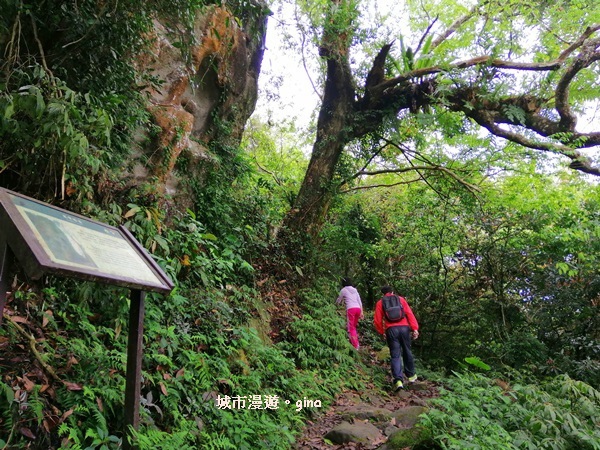 IMG_20200315_105453.jpg IMG_20200315_105453.jpg