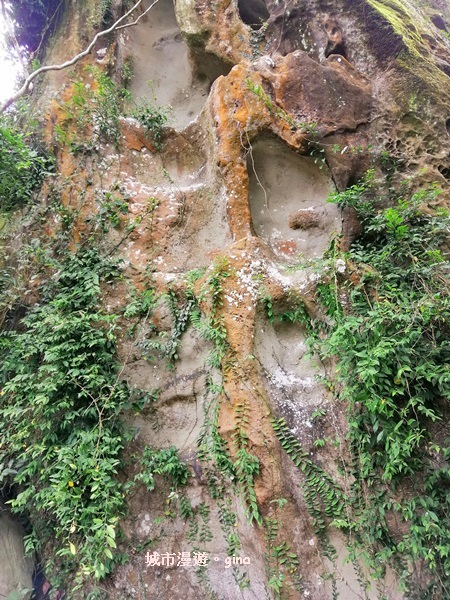 IMG_20200315_105533.jpg IMG_20200315_105533.jpg