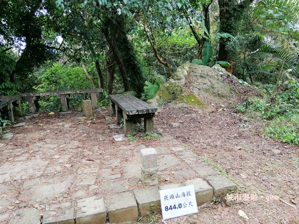 IMG_20200315_111624.jpg IMG_20200315_111624.jpg