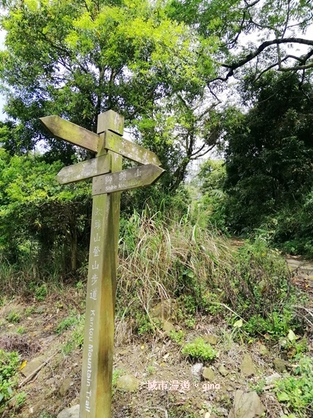 IMG_20200315_120827.jpg IMG_20200315_120827.jpg