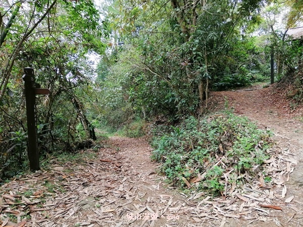 IMG_20200315_113444.jpg IMG_20200315_113444.jpg