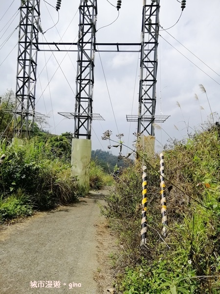 【台南東山】山上尋悠。 No64小百岳~崁頭山