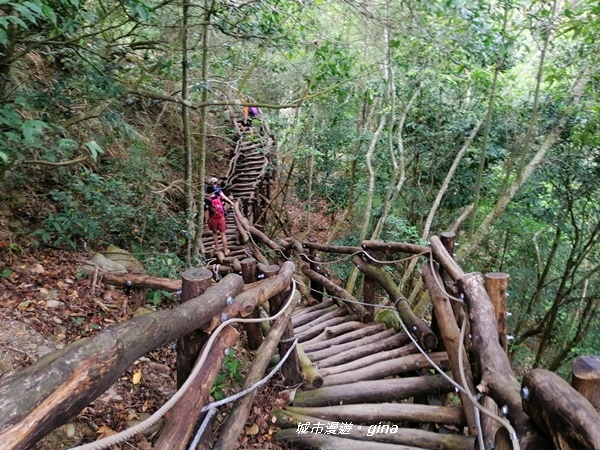 【台中北屯】台中萬里長城。 No41小百岳頭嵙山_859M 