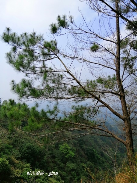 【台中北屯】台中萬里長城。 No41小百岳頭嵙山_859M 