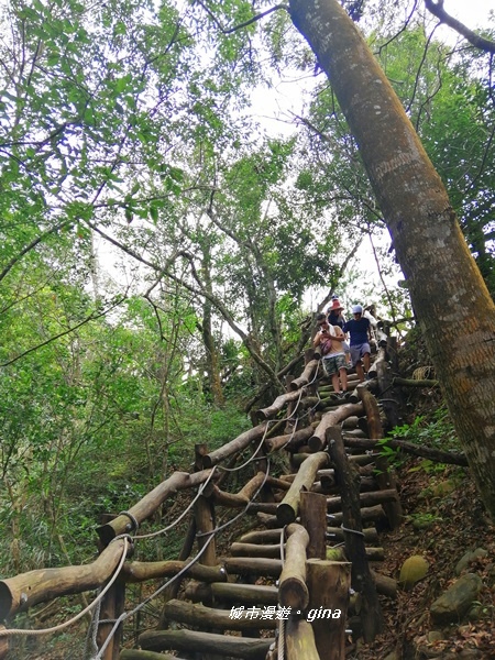 【台中北屯】台中萬里長城。 No41小百岳頭嵙山_859M 