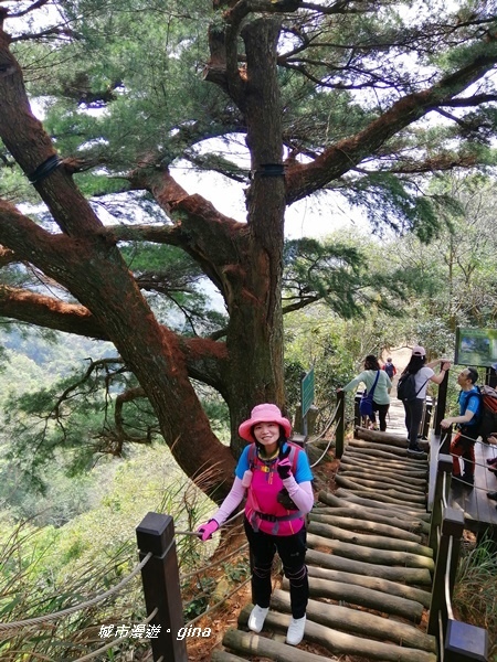 【台中北屯】台中萬里長城。 No41小百岳頭嵙山_859M 