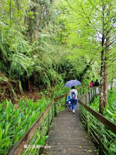 IMG_20200402_094527.jpg IMG_20200402_094527.jpg