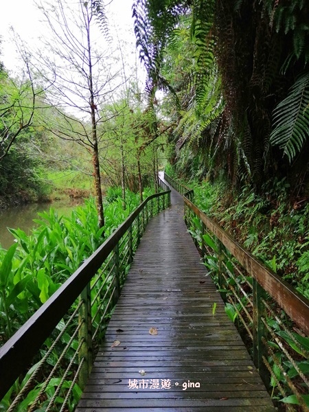 IMG_20200402_094846.jpg IMG_20200402_094846.jpg