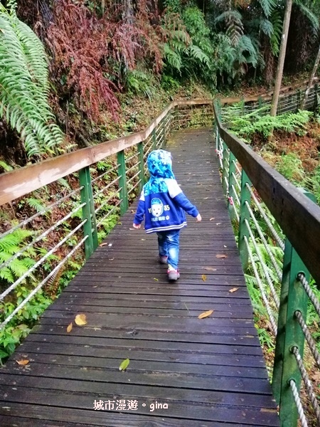 IMG_20200402_095137.jpg IMG_20200402_095137.jpg