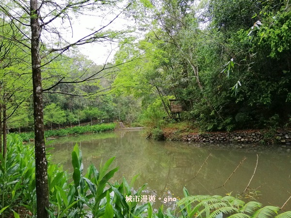 IMG_20200402_094807.jpg IMG_20200402_094807.jpg