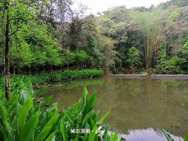 IMG_20200402_094855.jpg IMG_20200402_094855.jpg