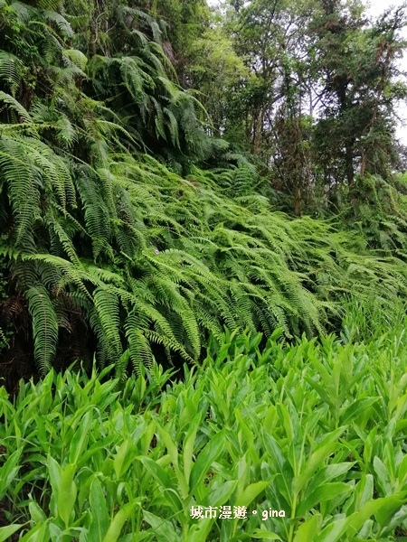 IMG_20200402_094645.jpg IMG_20200402_094645.jpg