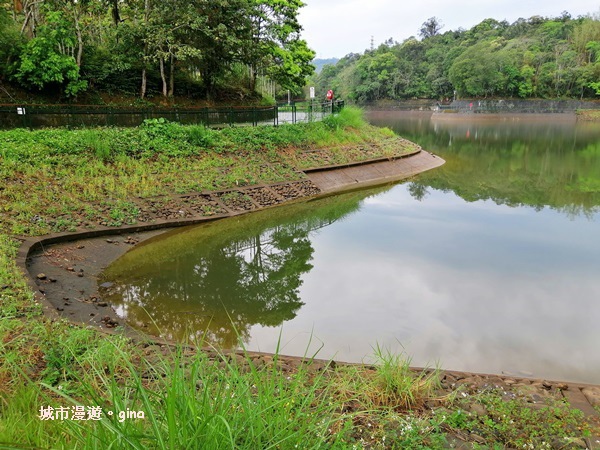 IMG_20200402_105539.jpg IMG_20200402_105539.jpg