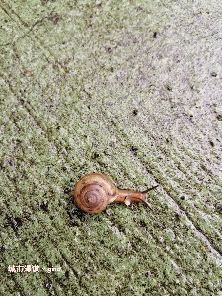 IMG_20200402_104859.jpg IMG_20200402_104859.jpg