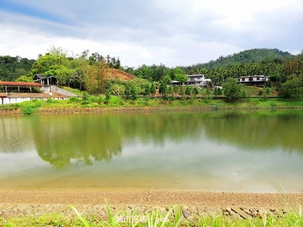 IMG_20200402_105338.jpg IMG_20200402_105338.jpg