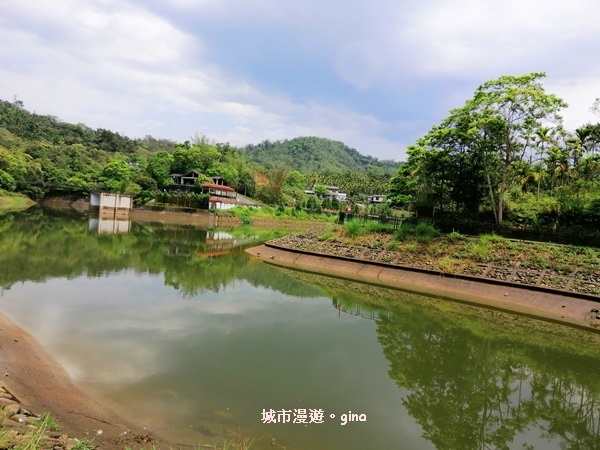 IMG_20200402_110119.jpg IMG_20200402_110119.jpg