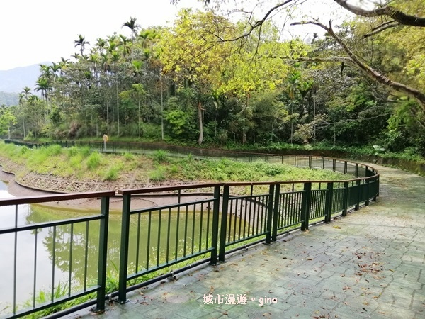 IMG_20200402_110552.jpg IMG_20200402_110552.jpg