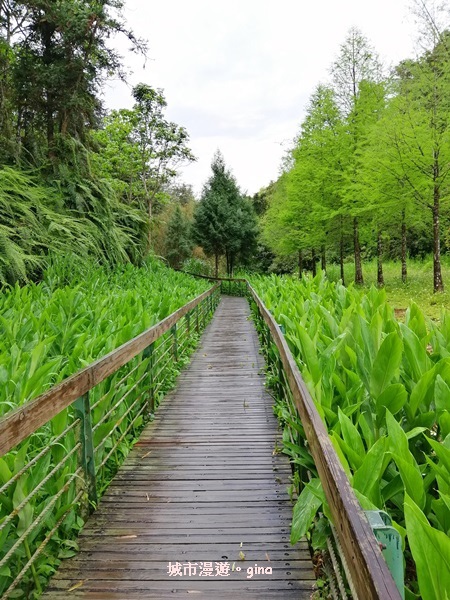 IMG_20200402_113641.jpg IMG_20200402_113641.jpg