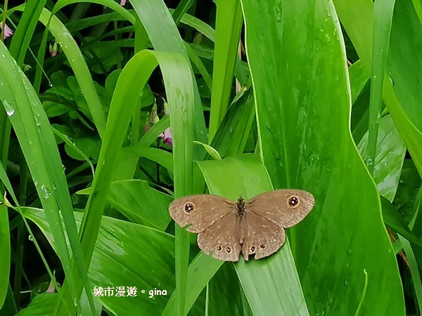 IMG_20200402_113558.jpg IMG_20200402_113558.jpg