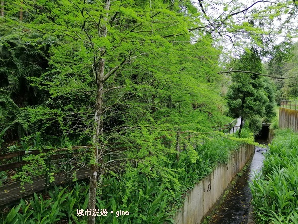 IMG_20200402_113913.jpg IMG_20200402_113913.jpg