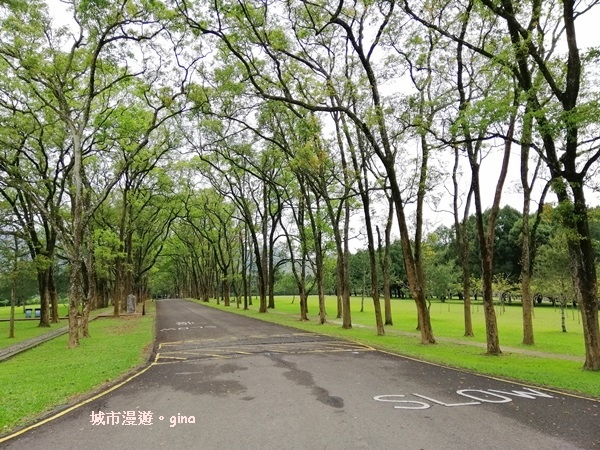 IMG_20200402_132821.jpg IMG_20200402_132821.jpg