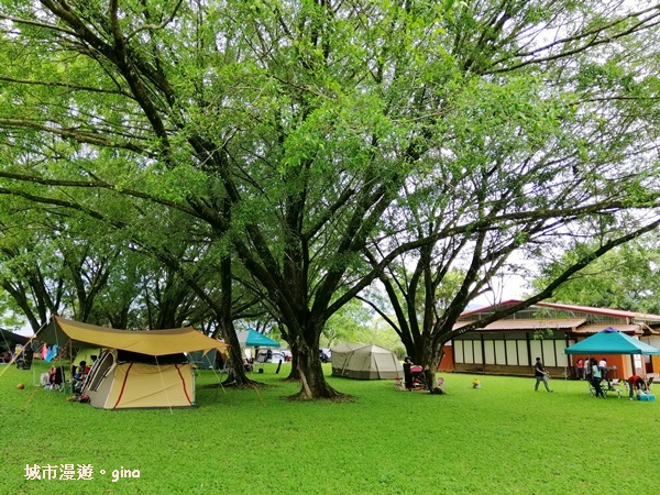 IMG_20200402_133653.jpg IMG_20200402_133653.jpg