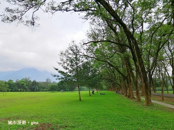 IMG_20200402_154348.jpg IMG_20200402_154348.jpg