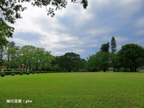 IMG_20200402_141619.jpg IMG_20200402_141619.jpg