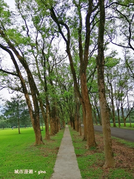 IMG_20200402_154404.jpg IMG_20200402_154404.jpg