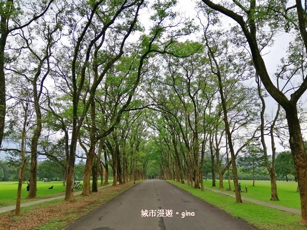 IMG_20200402_154428.jpg IMG_20200402_154428.jpg