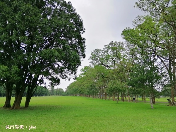 IMG_20200402_155531.jpg IMG_20200402_155531.jpg