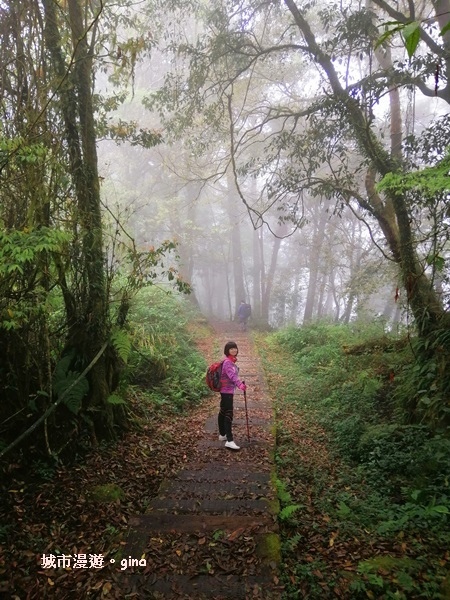 IMG_20200404_100606.jpg IMG_20200404_100606.jpg