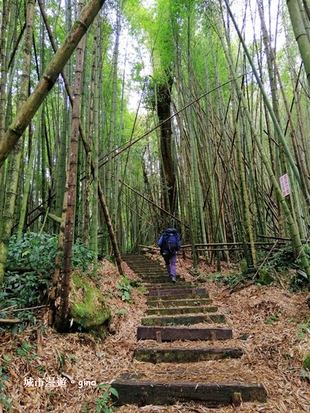 IMG_20200404_100604.jpg IMG_20200404_100604.jpg