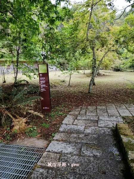 IMG_20200404_101328.jpg IMG_20200404_101328.jpg