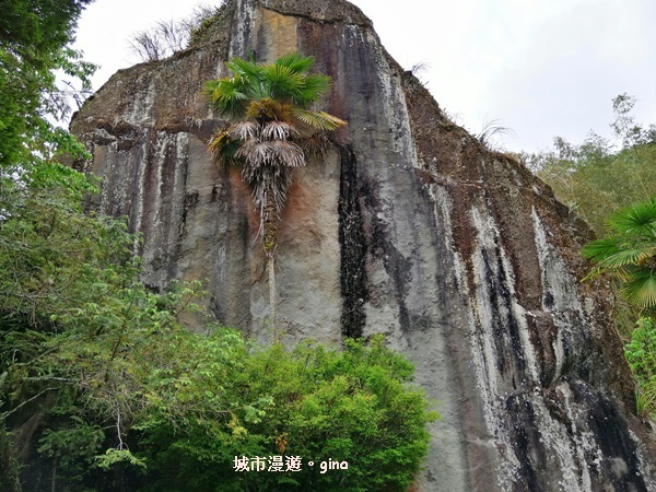 【嘉義竹崎】漫步綠意山林。 No60小百岳~奮起湖大凍山步道