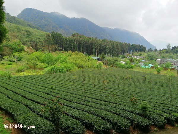 IMG_20200404_102116.jpg IMG_20200404_102116.jpg