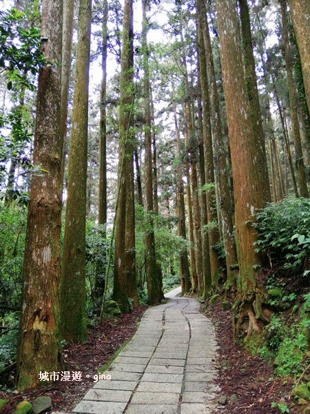 IMG_20200404_102215.jpg IMG_20200404_102215.jpg