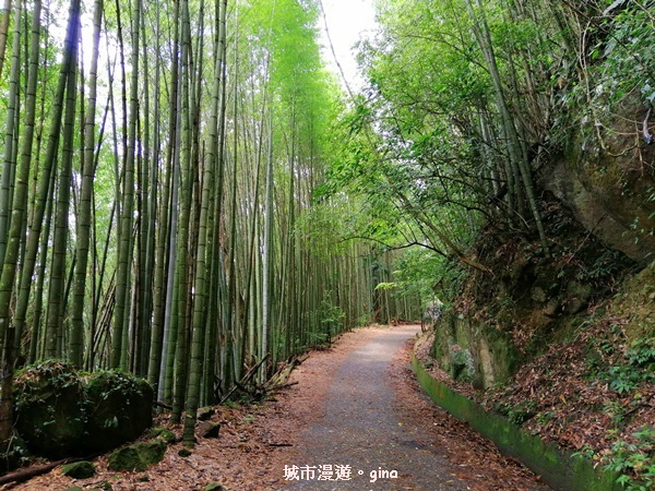 IMG_20200404_105552.jpg IMG_20200404_105552.jpg