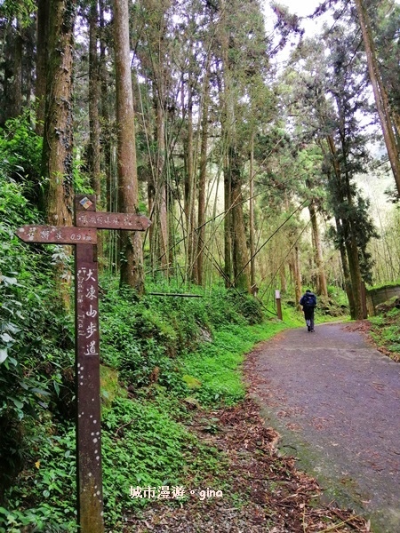 IMG_20200404_102221.jpg IMG_20200404_102221.jpg