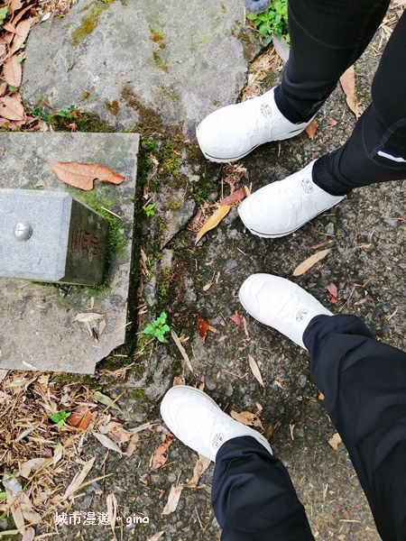 IMG_20200404_104632.jpg IMG_20200404_104632.jpg