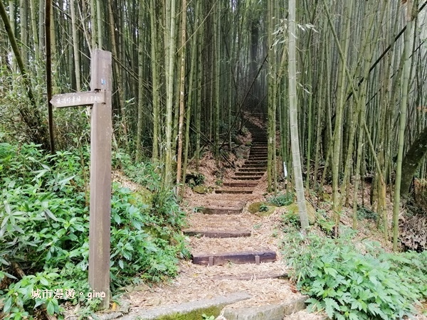 IMG_20200404_110553.jpg IMG_20200404_110553.jpg