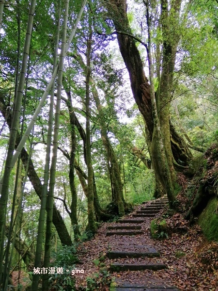 IMG_20200404_111139.jpg IMG_20200404_111139.jpg