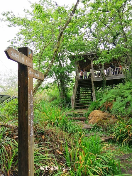 IMG_20200404_112649.jpg IMG_20200404_112649.jpg