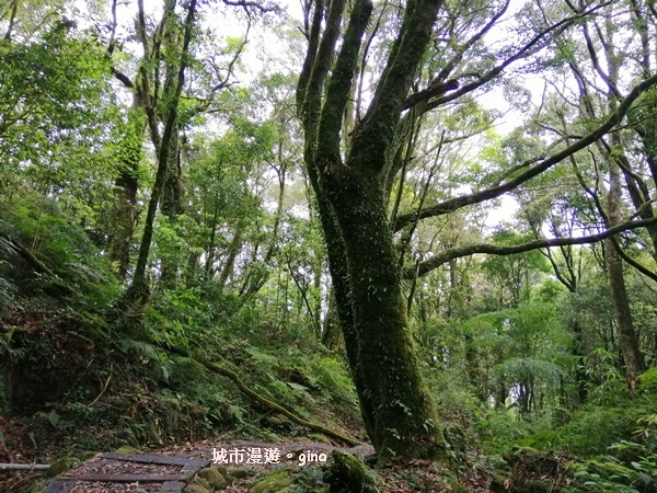 IMG_20200404_112214.jpg IMG_20200404_112214.jpg