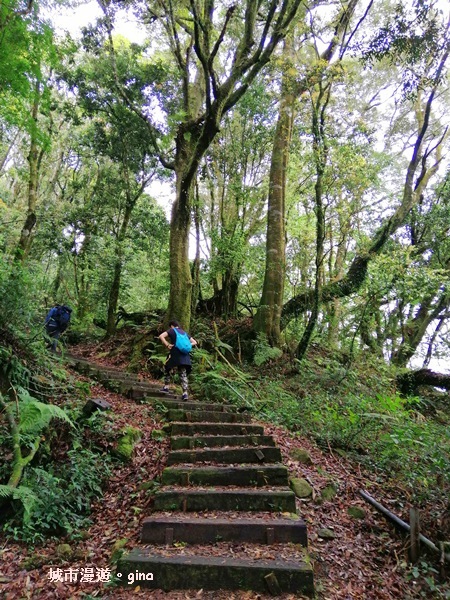 IMG_20200404_111933.jpg IMG_20200404_111933.jpg