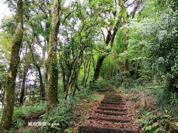 IMG_20200404_111351.jpg IMG_20200404_111351.jpg