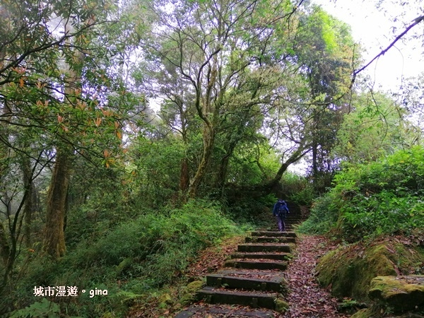 IMG_20200404_112406.jpg IMG_20200404_112406.jpg