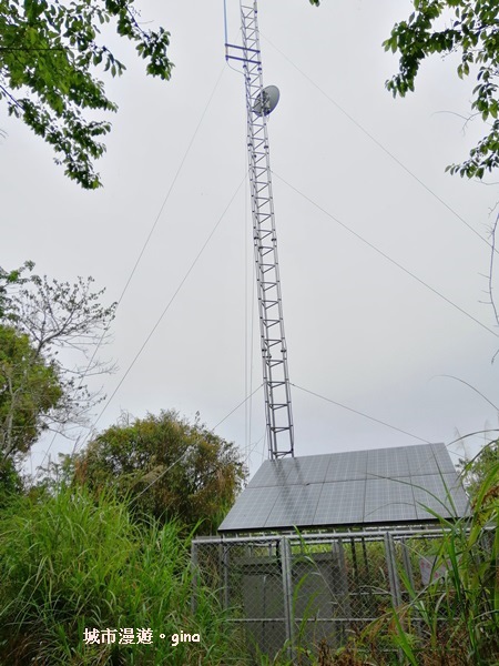 IMG_20200404_112556.jpg IMG_20200404_112556.jpg