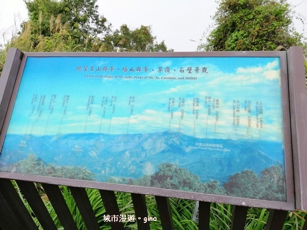 IMG_20200404_112929.jpg IMG_20200404_112929.jpg